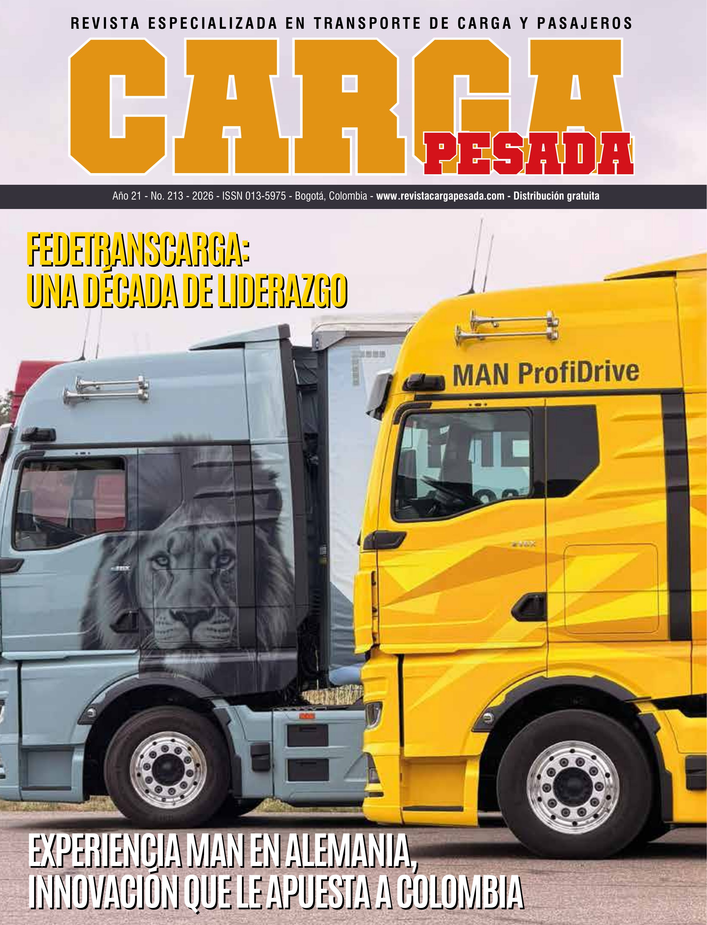 Portada edición 213